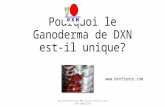 Pourquoi le ganoderma de dxn est il unique
