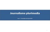 Journalisme plurimedia - Troisième partie