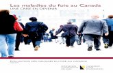 Canada : maladies du foie, une crise en devenir