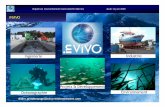 Energies marines : les impacts sur l'environnement (In Vivo)