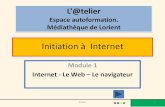 Internet initiation module 01 - 2011