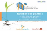 Pourquoi et comment améliorer la nutrition en fer des plantes