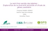 La nutrition azotée des plantes : Exploration de la diversité naturelle et études des gènes candidats
