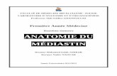Anatomie mediastin-2012