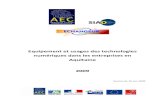 Etude Usage Tic 2009 AEC Observatoire Aquitain Economie Numerique
