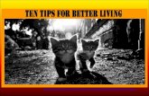 490 - Tips for better living