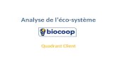 Analyse de l’éco système biocoop- quadrant client