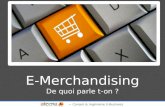 Overview de l'E-Merchandising en 2013- Table ronde EBG