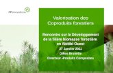 Valorisation et transformation de la biomasse forestière