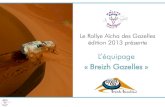 Breizh gazelles - dossier sponsoring 2013 - 2012 11 19
