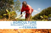 L'agriculture intelligente face au climat sur le terrain