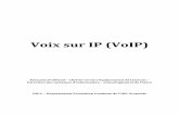 Voix Sur IP - Support de Cours (2)