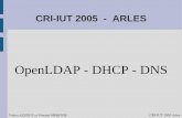 Cri-iut 2005 Ldap DNS Dhcp