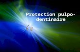 Protection pulpo- dentinaire. Definition. Objectifs de la protection pulpo-dentaire. Facteurs impliqués dans le choix de la technique et des matériaux.