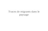 Traces de migrants dans le paysage. Une réalisation de lasbl Histoire collective, pour Moi migrant.