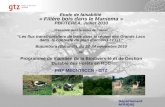 Département AFRIQUE Etude de faisabilité « Filière bois dans le Maniema » PBF/TEREA, Juillet 2010 Présentée dans le cadre de latelier Les flux transfrontaliers.