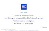 PDS 2005 Direction de la Stratégie Groupe Les Énergies renouvelables (EnR) dans le groupe Positionnement stratégique Ad Hoc du 14 mars 2005 8 mars 2005.