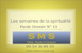 Parole Donnée N° 13. Saints, Messies et Sauveurs Les messages de salut pour notre époque Exposé de M. Laurent Ladouce, directeur de « Culture et paix.