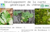 Développement de la carte génétique du chêne Directeur de thèse: C. Plomion Co-directrice: C. Bodénès Jérôme Durand Université de Bordeaux 1.