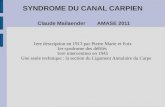 SYNDROME DU CANAL CARPIEN Claude Mailaender AMASE 2011 1ere description en 1913 par Pierre Marie et Foix 1er syndrome des défilés 1ere intervention en.