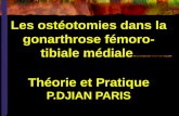 Les ostéotomies dans la gonarthrose fémoro- tibiale médiale Théorie et Pratique P.DJIAN PARIS.