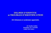 DELIRES DIDENTITE et TROUBLES DIDENTIFICATION DU Démences et syndromes apparentés. Dr Claudine Nedelec Neurologie CH La Rochelle CMRR CHU Poitiers.