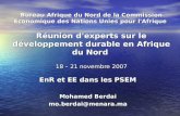 Bureau Afrique du Nord de la Commission Economique des Nations Unies pour l'Afrique R é union d'experts sur le d é veloppement durable en Afrique du Nord.