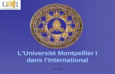 19/10/091 LUniversité Montpellier I dans lInternational