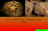 Les Momies de lÉgypte et du Chili M. Bridgeo, WHS FISS 10.