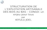 STRUCTURATION DE LEXPLOTATION ARTISANALE DES BOIS AU BAS – CONGO: un enjeu pour tous par KIYULU JOEL Union internationale pour la Conservation de la Nature.