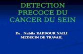 DETECTION PRECOCE DU CANCER DU SEIN Dr. Nabila KADDOUR NAILI MEDECIN DE TRAVAIL.