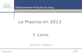 Le Plasma en 2013 P. CAZAL TACT 2013 - Montpellier.