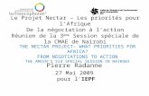 Le Projet Nectar – Les priorités pour lAfrique De la négociation à laction Réunion de la 3 ème Session spéciale de la CMAE de Nairobi Pierre Radanne 27.