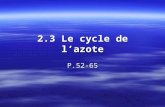 2.3 Le cycle de lazote P.52-65. Le cycle de lazote Le cycle de lazote consiste en des processus de nitrification et de dénitrification qui sont reliés.