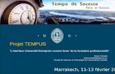 Marrakech, 11-13 février 2008 Projet TEMPUS Linterface Université-Entreprise comme levier de la formation profissionnelle Bruno Trindade bruno.trindade@dem.uc.pt.