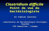 Clostridium difficile Point de vue du bactériologiste Dr Fabien Garnier Laboratoire de Bactériologie-Virologie-Hygiène CHU Dupuytren, Limoges.