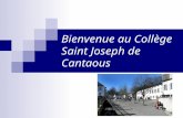 Bienvenue au Collège Saint Joseph de Cantaous. Une attention particulière portée aux élèves en difficulté tout en maintenant un certain niveau dexigence.