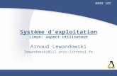 Système dexploitation Arnaud Lewandowski lewandowski@lil.univ-littoral.fr DESS ICC Linux: aspect utilisateur.
