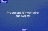 1 IXERP consulting Processus dinventaire sur SAP®.