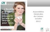 04/11/2013 Crédit Agricole SA Distribution Assemblées Générales de Caisses Locales 2013.