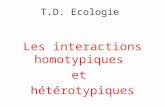 T.D. Ecologie Les interactions homotypiques et hétérotypiques.