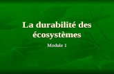La durabilité des écosystèmes Module 1. Les composantes dun écosystème Il y a deux sortes décosystème; Il y a deux sortes décosystème; Écosystème naturel:
