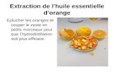 Extraction de lhuile essentielle dorange Eplucher les oranges et couper le zeste en petits morceaux pour que lhydrodistillation soit plus efficace.