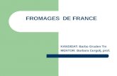 FROMAGES DE FRANCE KANDIDAT: Barbo Gruden Tin MENTOR: Barbara Cergolj, prof.