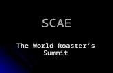 SCAE The World Roasters Summit. Torréfaction Artisanale ------------------------- SCAE ------------------------- The World Roasters Summit 2013 Palais.