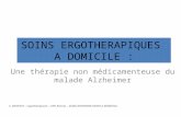 SOINS ERGOTHERAPIQUES A DOMICILE : Une thérapie non médicamenteuse du malade Alzheimer C. BOSCHAT – ergothérapeute – CHU Rennes – SSIAD ASPANORD SANTE.