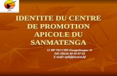 IDENTITE DU CENTRE DE PROMOTION APICOLE DU SANMATENGA 11 BP 792 CMS Ouagadougou 11 Tél: 00226 40 45 07 62 E-mail: apil@fasonet.bf.