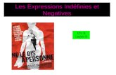 Les Expressions Indéfinies et Negatives Ch. 8 Leçon 3.