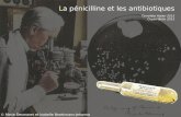 La pénicilline et les antibiotiques © Marie Desmares et Isabelle Broekmans-Jehanno Template Hatier 2012 Clipart Belin 2012.
