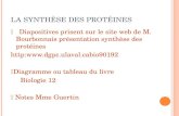 L A SYNTHÈSE DES PROTÉINES Diapositives prisent sur le site web de M. Bourbonnais présentation synthèse des protéines http: Diagramme.